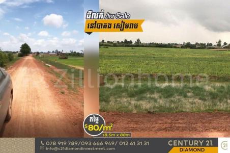 Kandaek, Prasat Bakong, Siemreap, Cambodia