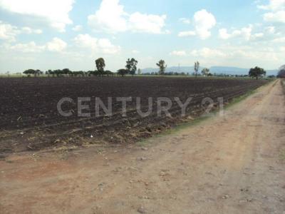 El Marqués, Querétaro 76240, Mexico