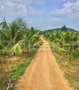 Takaen, Chhuk, Kampot, Kambodscha