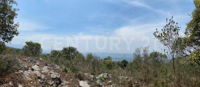 Predio Rustico denominado el Rosario, Carretera a Rancheria San José Buenavista S/N,, San Cristóbal De Las Casas, Chiapas 29201, Mexico