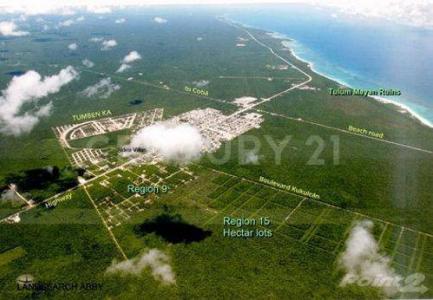 Calle 16,, Tulum, Quintana Roo 77780, Mexico