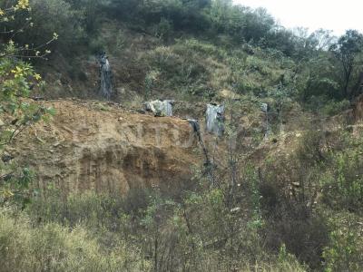 San Pedro Garza García, Nuevo León 66278, Mexico