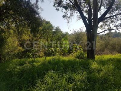 VENTA TERRENO IDEAL PARA DESARROLLADORES 19,700 M2 EXCELENTE UBICACIÓN ZONA VALSEQUILLO Y PERIFERICO,, פואבלה, פואבלה 72471, מקסיקו