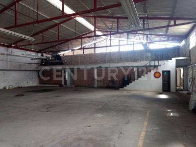 Cuernavaca, モレーロス 62230, メキシコ