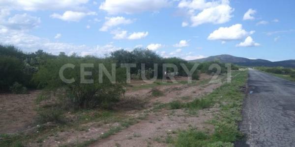 Zaragoza, San Luis Potosi 79540, Mexique