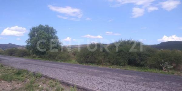 Zaragoza, San Luis Potosi 79540, Mexique