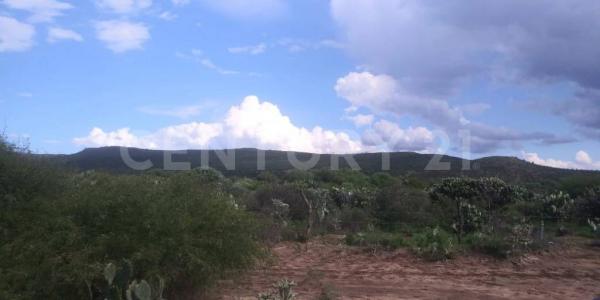 Zaragoza, San Luis Potosi 79540, Mexique