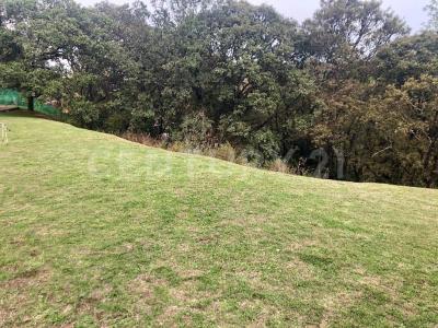 Av de los Poetas Tepozcuautla 100 - A (TF 12 y 13),, Cuajimalpa De Morelos, Ciudad De México 05600, 墨西哥