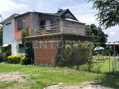 Quinta de Los Mangos 12,, Tlayacapan, Morelos 62546, México