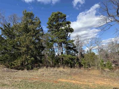 15899 Crazyhorse Dr., Lindale, Texas 75771, USA