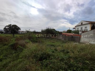 Coimbra, Coimbra 3045-161, Portugalia