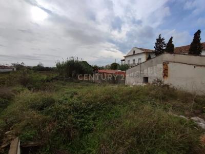 Coimbra, Coimbra 3045-161, Portugalia