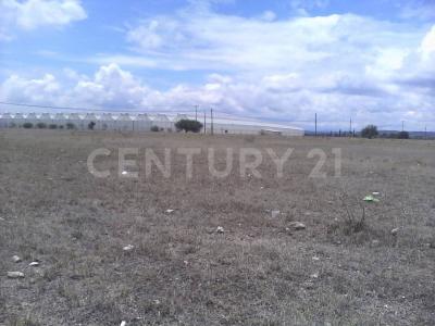 Terreno en la Lira S/N,, Pedro Escobedo, 克雷塔羅 76708, 墨西哥