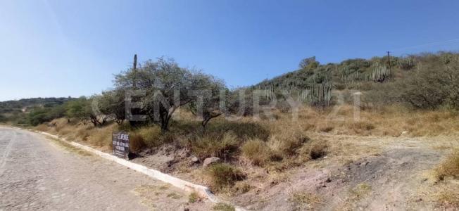 Lote 20 Manzana 22,, Tecozautla, Hidalgo 42441, México