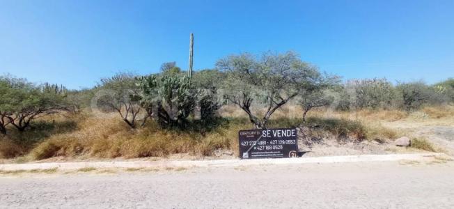 Lote 21 Manzana 22,, Tecozautla, Hidalgo 42441, México