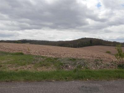 Lot 2 Spring Brook, Tomah, Wisconsin 54660, Estados Unidos