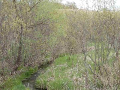 Lot 2 Spring Brook, Tomah, Wisconsin 54660, Estados Unidos