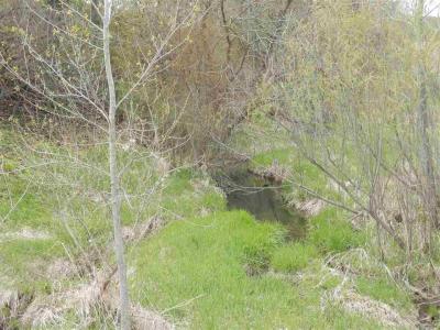 Lot 2 Spring Brook, Tomah, Wisconsin 54660, Estados Unidos