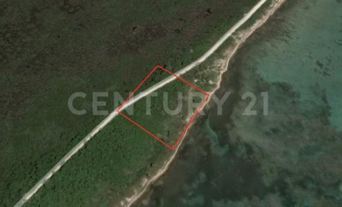 Othon P Blanco, 킨 타나 77940, 멕시코