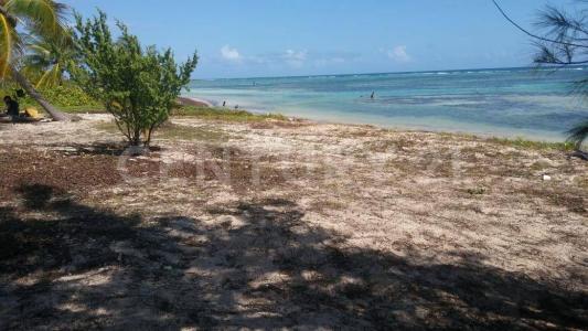 Othon P Blanco, קינטנה רו 77940, מקסיקו