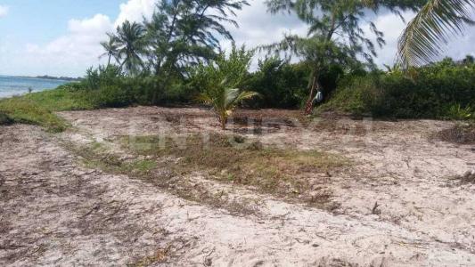 Othon P Blanco, קינטנה רו 77940, מקסיקו