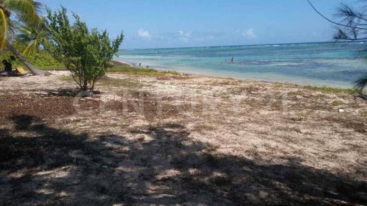 Othon P Blanco, קינטנה רו 77940, מקסיקו