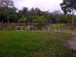 Paraíso, טבסקו 86600, מקסיקו 