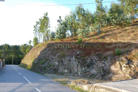 Póvoa De Lanhoso, Braga 4830-052, Portugal