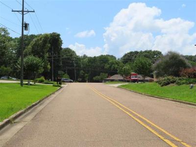 0 Woodchase Park, Clinton, ミシシッピ 39056, アメリカ合衆国