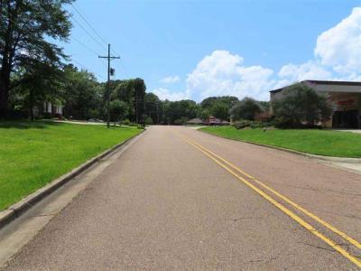 0 Woodchase Park, Clinton, ミシシッピ 39056, アメリカ合衆国
