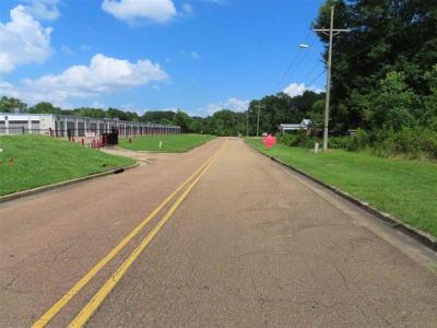 0 Woodchase Park, Clinton, ミシシッピ 39056, アメリカ合衆国