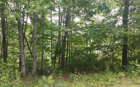 Lot 7 Mill Creek Estates, Hayesville, North Carolina 28904, HOA KỲ