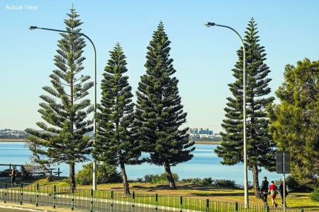5/143-144 The Grand Parade, Monterey, NSW 2217, Australia