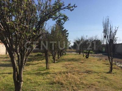 Prolongación Guerrero 35,, Tultitlán, メヒコ州 54900, メキシコ