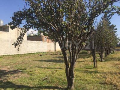 Prolongación Guerrero 35,, Tultitlán, メヒコ州 54900, メキシコ
