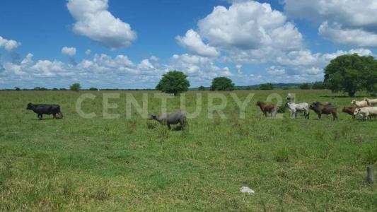 Valle de Yohaltun ,, Champotón, Campeche 24435, Mexique