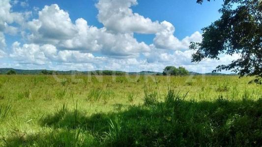 Valle de Yohaltun ,, Champotón, Campeche 24435, Meksika