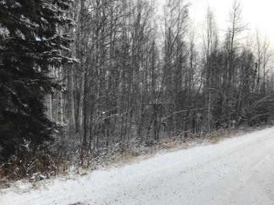 NHN HURSHMAN STREET, Fairbanks, Alaska 99712, USA
