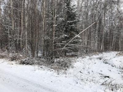 NHN HURSHMAN STREET, Fairbanks, Alaska 99712, USA