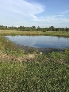 330 Highway 165 Hwy, Iowa, Louisiane 70647, États-Unis