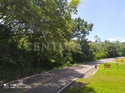 Carretera Palenque - Ocosingo km. 68 0 S/N,, Palenque, Chiapas 29960, Mexico