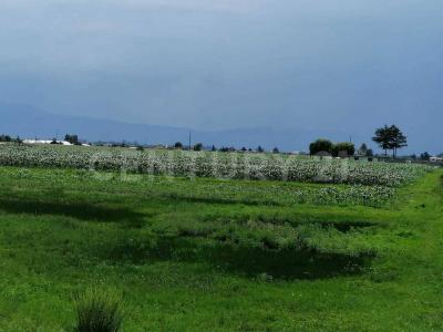 carretera libre a Jocotitlan KM 41,, Ixtlahuaca, מקסיקו 50748, מקסיקו 