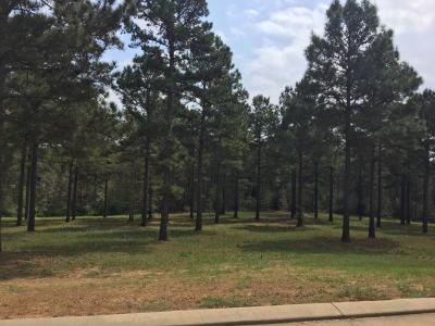 Cypress Village Drive Lot 23, Many, Louisiana 71449, Stati Uniti