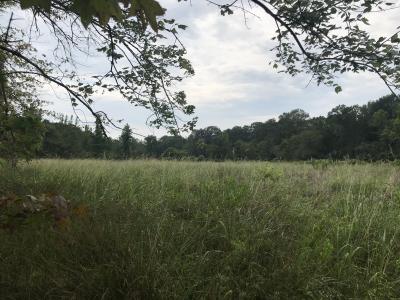 40 acres Hollow Hills, Camden, アーカンソー 71701, アメリカ合衆国