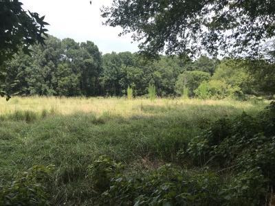 40 acres Hollow Hills, Camden, アーカンソー 71701, アメリカ合衆国