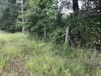 40 acres Hollow Hills, Camden, アーカンソー 71701, アメリカ合衆国