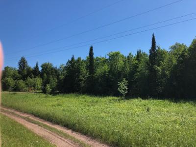 100 Acres off Hwy M64, White Pine, Michigan 49971, USA