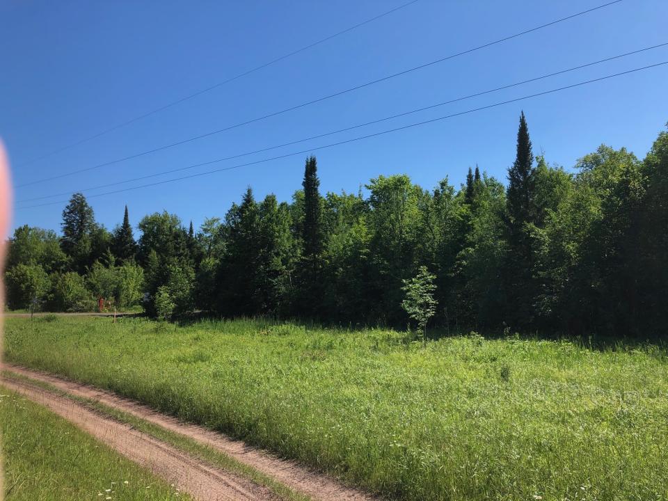 100 Acres off Hwy M64, White Pine, Michigan 49971