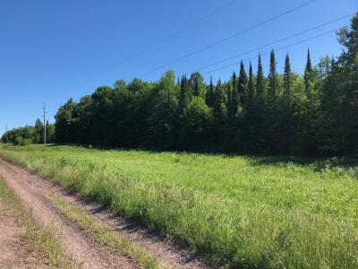 100 Acres off Hwy M64, White Pine, Michigan 49971