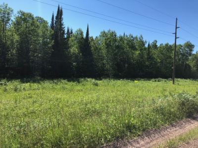 100 Acres off Hwy M64, White Pine, Michigan 49971